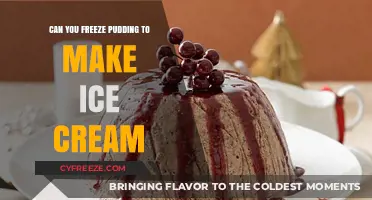 Transforming Pudding into Ice Cream: A Simple Freezing Trick