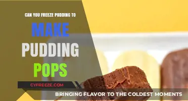 Chill Out with Pudding Pops: A Fun Frozen Treat