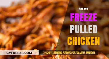 Pulled Chicken Freezing Guide: Tips for Perfect Preservation