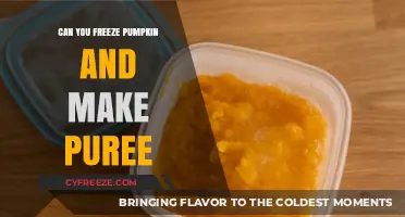 From Freezer to Puree: The Ultimate Guide to Pumpkin Preservation