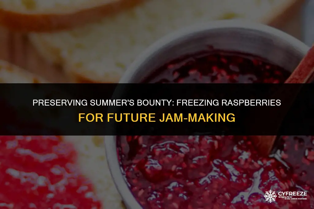 can you freeze raspberries to make jam later