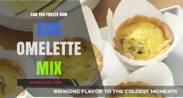 Freezing Raw Egg Omelette Mix: Tips, Tricks, and Best Practices