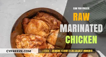 From Freezer to Feast: The Do's and Don'ts of Freezing Marinated Chicken