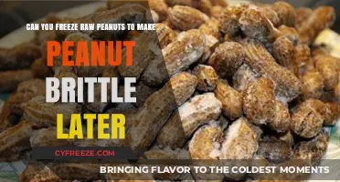 From Freezer to Brittle: The Raw Peanut Transformation Journey