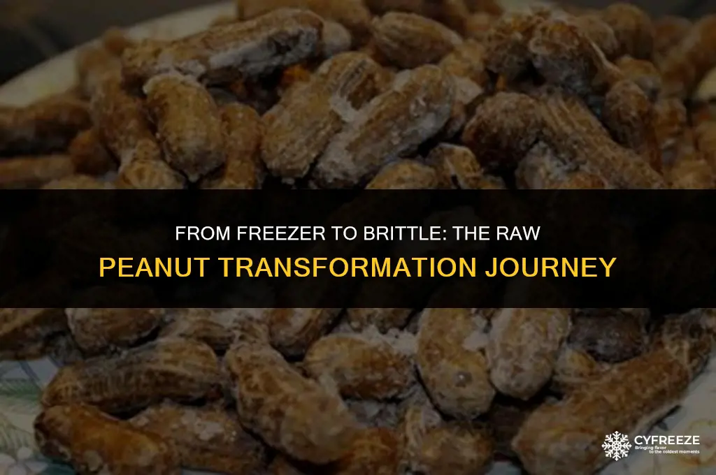 can you freeze raw peanuts to make peanut brittle later