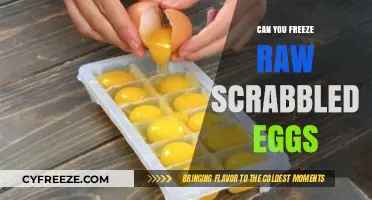 Freezing Raw Scrambled Eggs: Tips, Tricks, and Best Practices