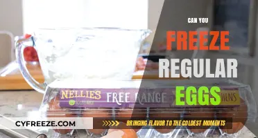 Freezing Regular Eggs: A Complete Guide to Preservation and Safety