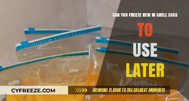 Freezing Raw In-Shell Eggs: A Safe and Practical Guide for Later Use