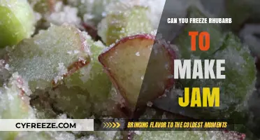 From Garden to Freezer: The Ultimate Guide to Rhubarb Jam Preservation