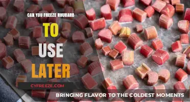 Freezing Rhubarb: A Simple Guide to Preserve for Later Use