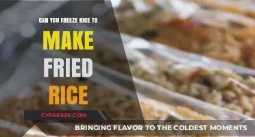 Reviving Leftovers: The Art of Freezing Rice for Perfect Fried Rice