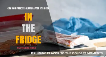 From Fridge to Freezer: The Ultimate Guide to Storing Salmon