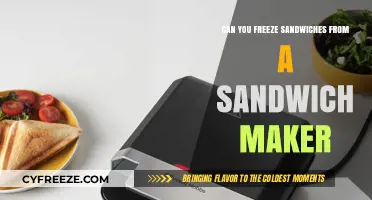 From Grill to Freeze: The Ultimate Guide to Sandwich Maker Creations