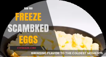 Can You Freeze Scrambled Eggs? A Quick Kitchen Guide