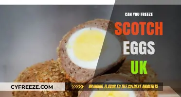 Can You Freeze Scotch Eggs in the UK? A Handy Guide