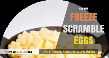 Can You Freeze Scrambled Eggs? A Complete Guide to Food Storage