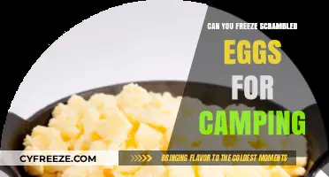 Freezing Scrambled Eggs for Camping: A Handy Outdoor Meal Prep Tip