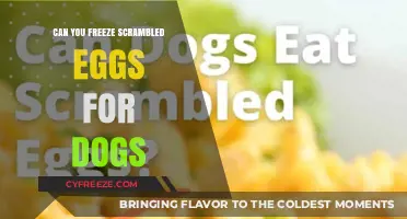 Freezing Scrambled Eggs for Dogs: A Safe and Nutritious Option?