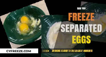 Freezing Separated Eggs: A Handy Guide for Food Preservation