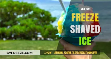 Cool Treats: The Ultimate Guide to Freezing Shaved Ice