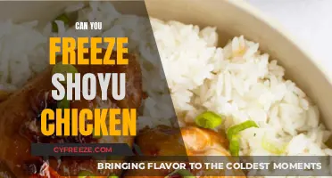 Delicious Shoyu Chicken: Freezing Tips for Perfect Preservation