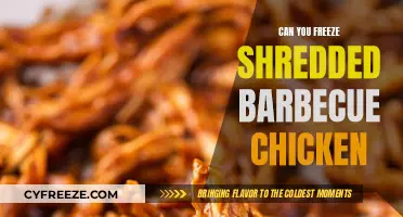 Shredded BBQ Chicken: Freezing Tips for Perfect Texture and Flavor