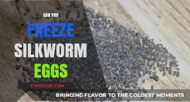 Freezing Silkworm Eggs: A Guide to Preservation and Hatching Success