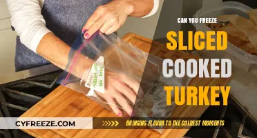 Savoring Leftovers: The Ultimate Guide to Freezing Cooked Turkey Slices
