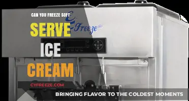 The Scoop on Soft Serve: Can You Really Freeze It?