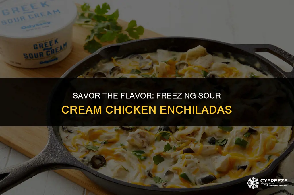 can you freeze sour cream chicken enchiladas