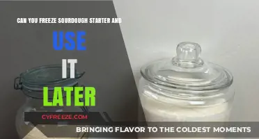 Freezing Sourdough Starter: A Guide to Preserving and Reviving Later