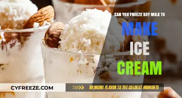 Delicious Dairy-Free Delight: Soy Milk Ice Cream at Home