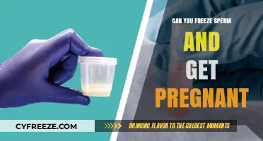 Freezing Sperm for Pregnancy: A Viable Fertility Preservation Option?