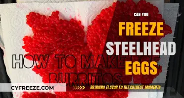 Freezing Steelhead Eggs: A Guide to Preservation and Storage Tips