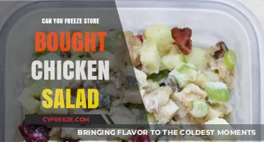 Chill or Toss? The Truth About Freezing Store-Bought Chicken Salad