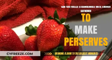 Strawberry Preservation: Freezing Techniques for Homemade Jams and Jellies