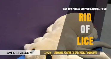 Freezing Stuffed Animals: An Effective Lice Removal Method?