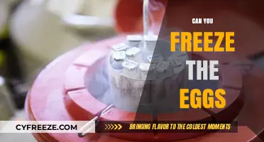 Freezing Eggs: A Complete Guide to Preserving Fertility Safely