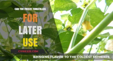 Freezing Tomatillos: A Guide to Preserving Freshness for Later Use