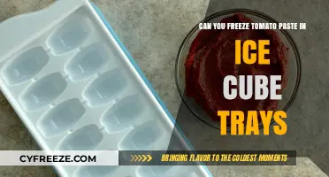 Smart Kitchen Hacks: Freezing Tomato Paste in Ice Cube Trays