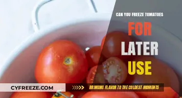 Freezing Tomatoes: A Simple Guide to Preserve Freshness for Later