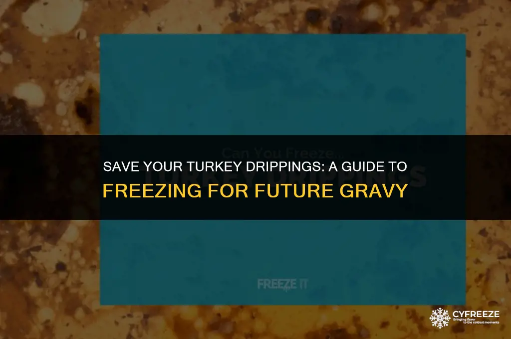 can you freeze turkey drippings to make gravy later