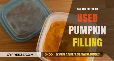 Can You Freeze Unused Pumpkin Filling? A Complete Guide