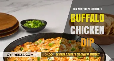 Can You Freeze Uncooked Buffalo Chicken Dip: A Complete Guide
