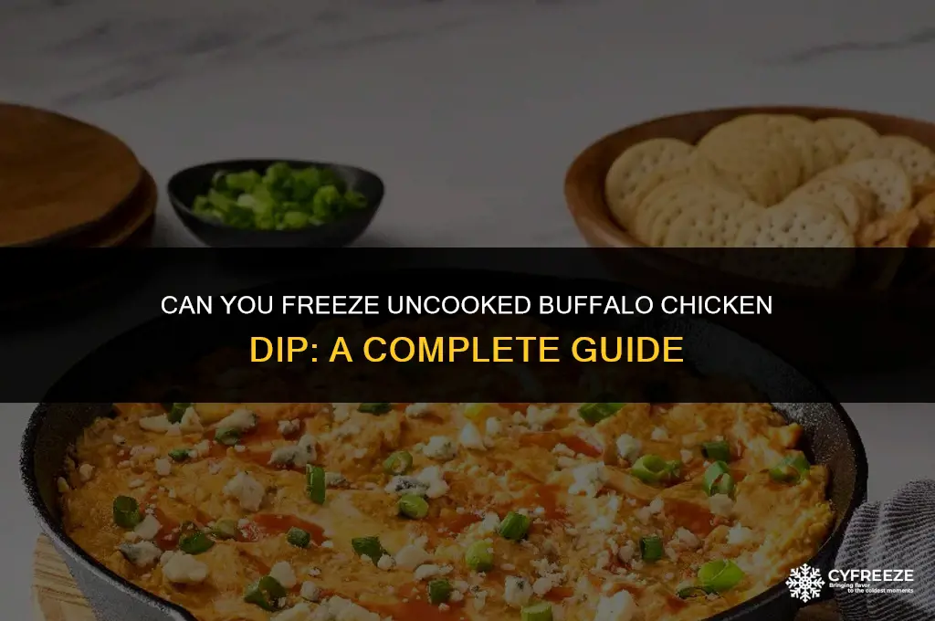 can you freeze uncooked buffalo chicken dip