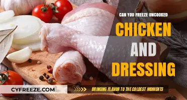 From Freezer to Feast: Uncooked Chicken and Dressing Storage Tips