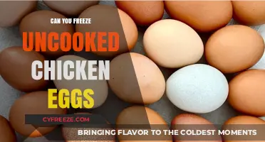 From Farm to Freezer: The Truth About Uncooked Chicken Eggs