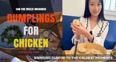 Dumppling Dilemma: The Ultimate Guide to Freezing Uncooked Chicken Dumplings