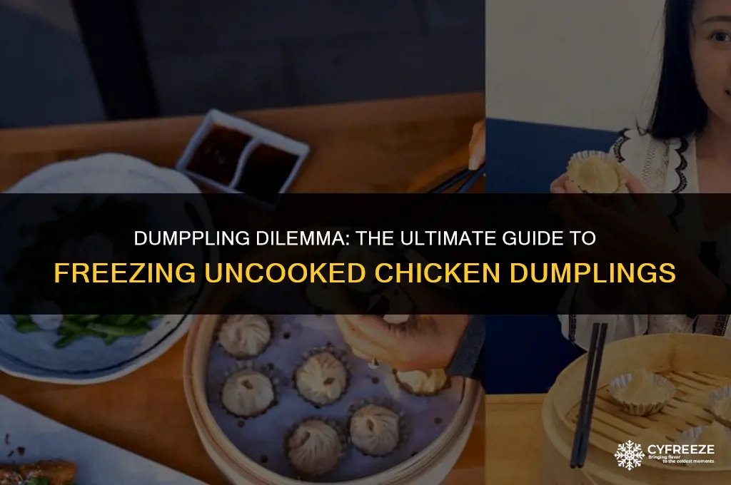 can you freeze uncooked dumplings for chicken