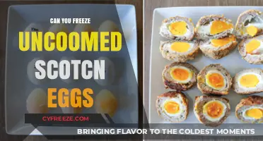 Freezing Uncooked Scotch Eggs: Tips and Tricks for Perfect Preservation